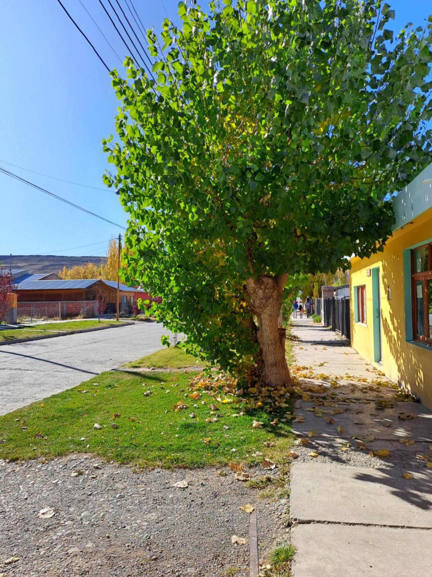 Ferienwohnung Hospedaje La Flaca Gobernador Gregores Exterior foto